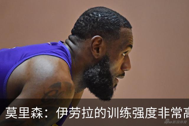 莫里森：伊劳拉的训练强度非常高 我离一线队水平没想的那么远